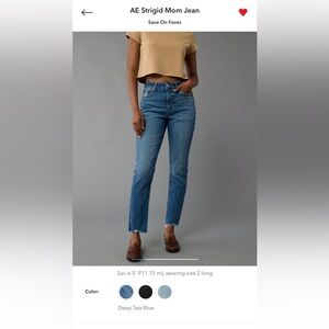 AE Strigid Mom Jean NWT